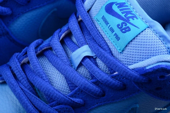 Nike Dunk DM0807-400 SB Raspberry Low Blue 1103